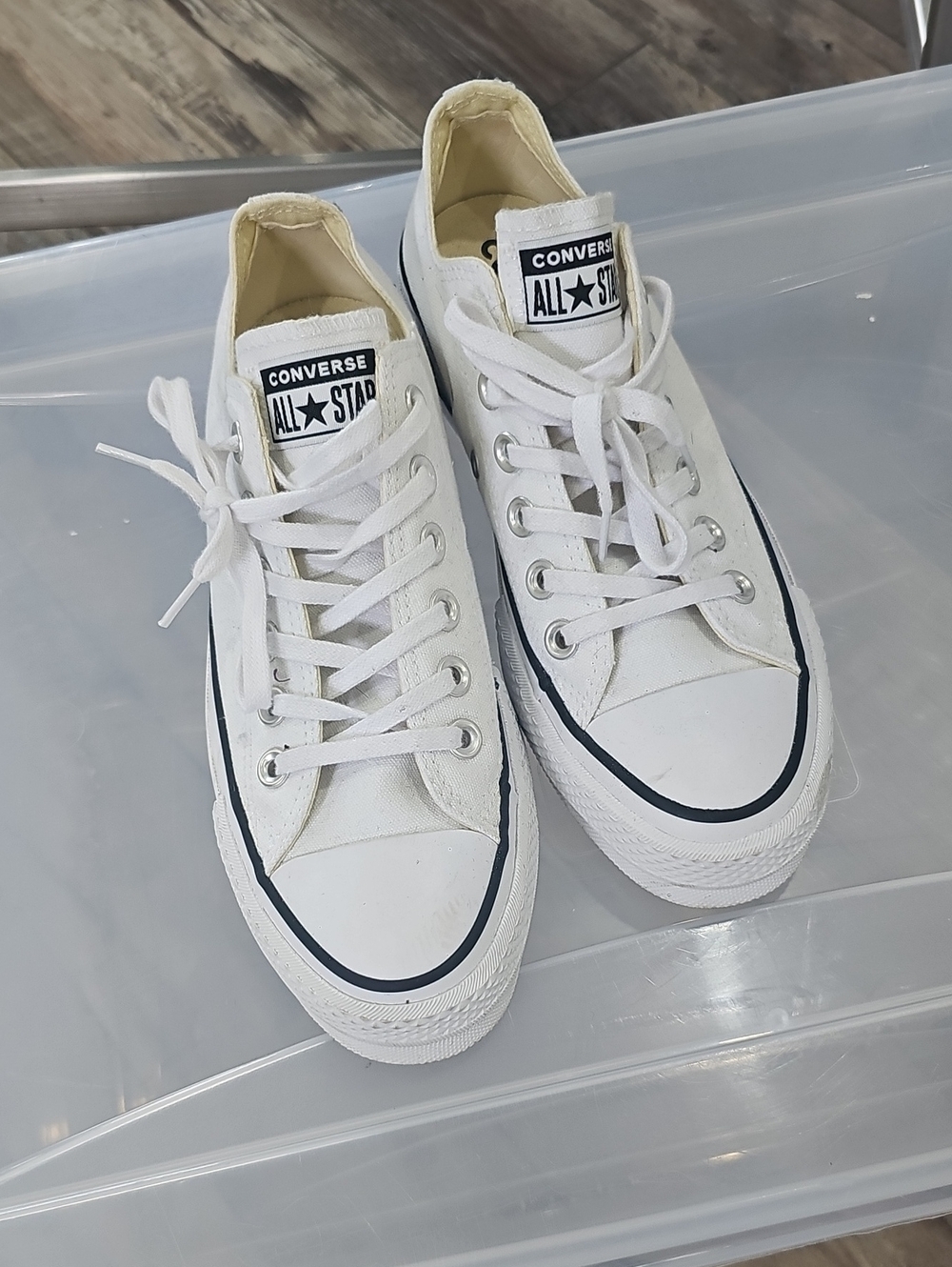Converse White Low-Top Canvas Sneakers with Navy Accent